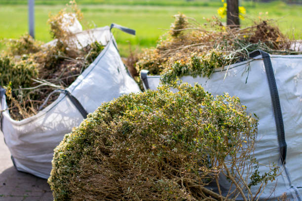 Best Moving and Downsizing Cleanouts  in Aledo, TX